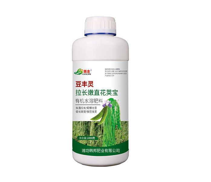 拉長(zhǎng)嫩直花莢寶